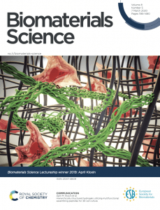cover art showing Hierarchically structured hydrogels