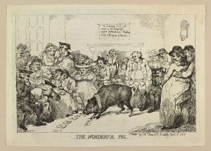 Caricature cartoon of pig arranging letters on ground while spectators watch in amazement