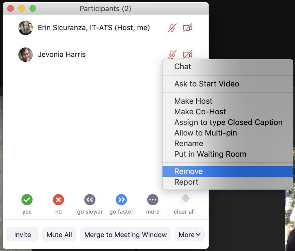 screenshot showing how to remove a participant from a Zoom meeting
