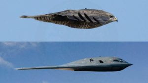 falcon b2 bombird airplane comparisonber comparison