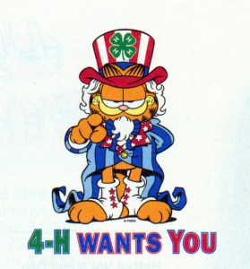 Garfield Uncle Sam