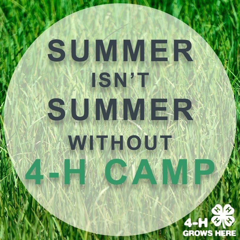 4H summer camp