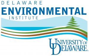 Delaware Environmental Institute logo