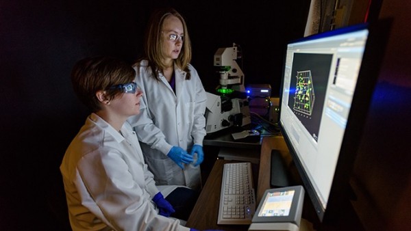 April Kloxin (standing) and doctoral student Lisa Sawicki study samples in UD’s Colburn Lab.