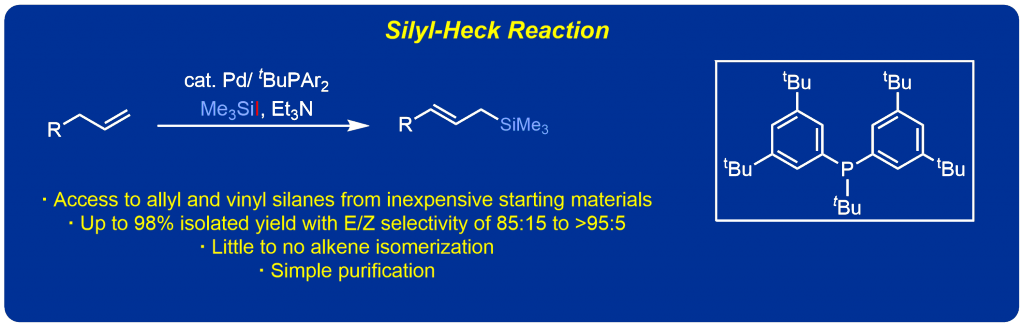 Silyl-Heck Reaction