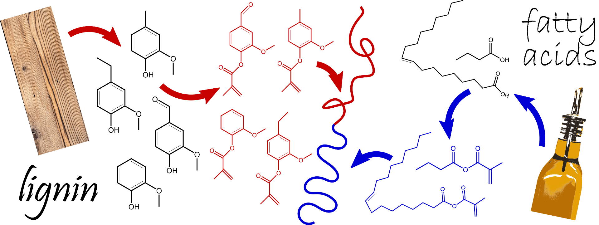 bio-polymers