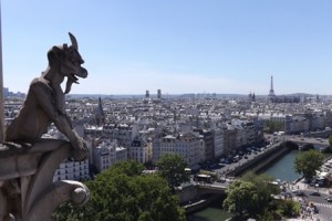 My view from Notre Dame (not bad huh?) 