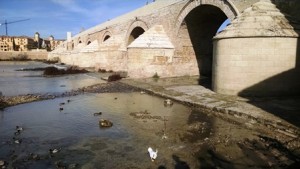 Roman bridge in Cordoba Nicole Ferrara 16W Granada, Spain DLLC sm