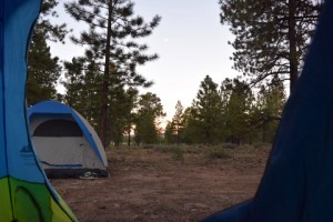 camp-night-3