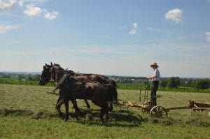 A photo, taken by Peter Kabethi, of an Amish farmer plowing the field with the help of his horse. 