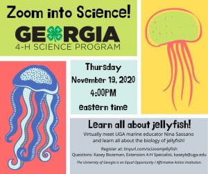Join Georgia 4-H For Their Zoom into Science Programs. These topics include November 19th Jellyfish, December 3 Science and Community Engagement and December 17 Reptiles and Amphibians