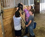 Three you putting horse tack away in a barn.