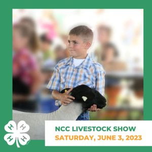 NCC Livestock Show Saturday, June 3,2023 with a youth showing a sheep and the 4-H Clover