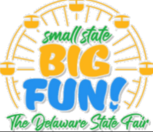 Small State Big Fun The Delaware State Fair