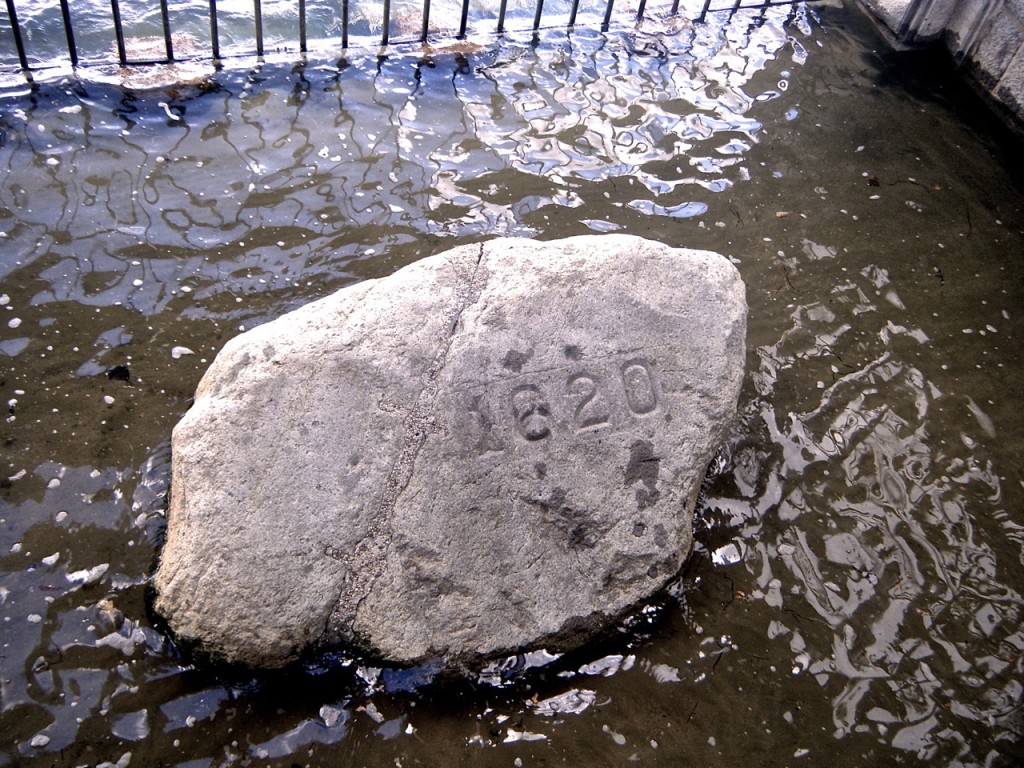 plymouth-rock