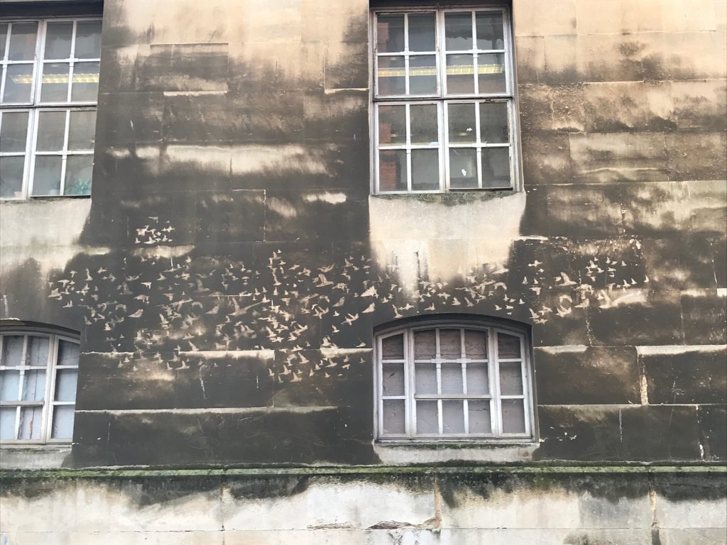 One of two images of "reverse graffiti" bird flocks on the side of a former police station.