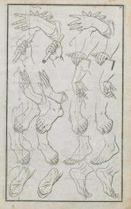 Hands and feet in various positions.