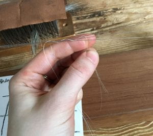 A hand supports three strands of hair woven in between three threads which are pulled taught horizontally across the frame.