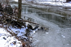 An Icy Bend in the River, by Laura George, February, 2014