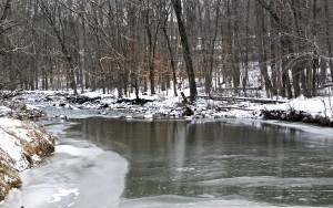 White Clay Creek, Winter 2014, by Laura George