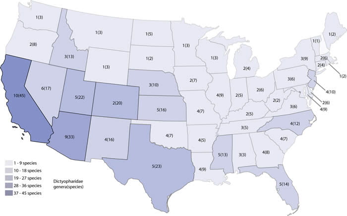 Dictyopharid distribution in the United States (from Bartlett et al 2014)