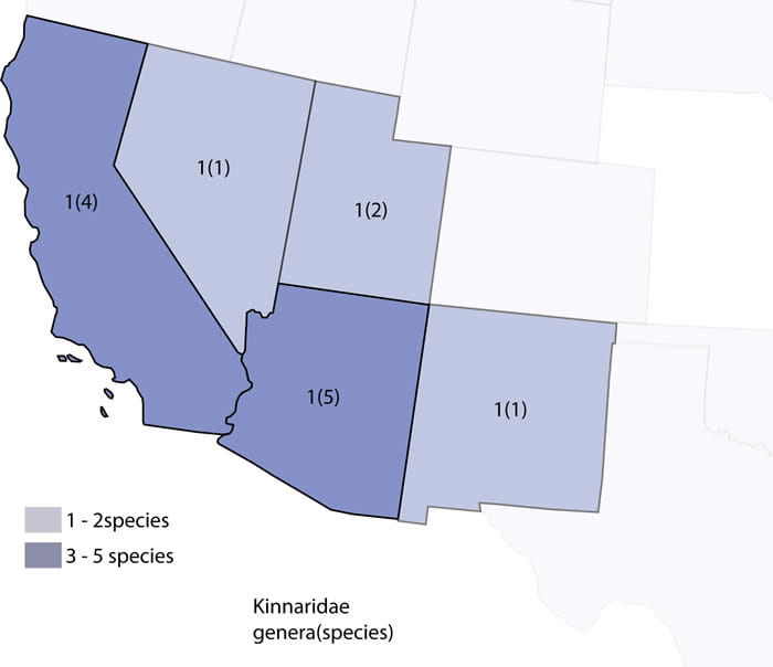 Distribution of Kinnaridae in the U.S. (from Bartlett et al. 2014)