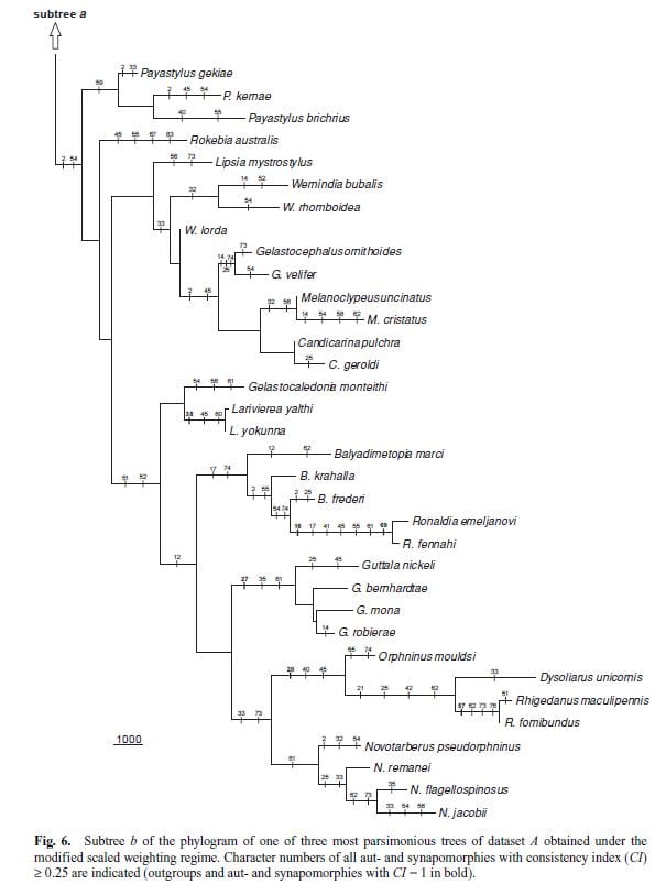 Locker et al. 2006, Fig. 5 (and Figs. 6, 7 below). Subtree a of the phylogram 