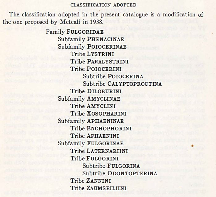 Classification of Fulgoridae from Metcalf (1947)