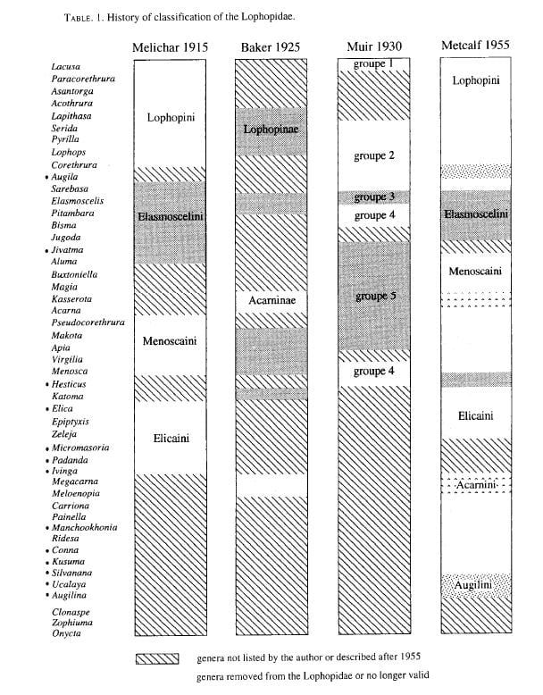 Early classifications of Lophopidae (Soulier-Perkins 1998).