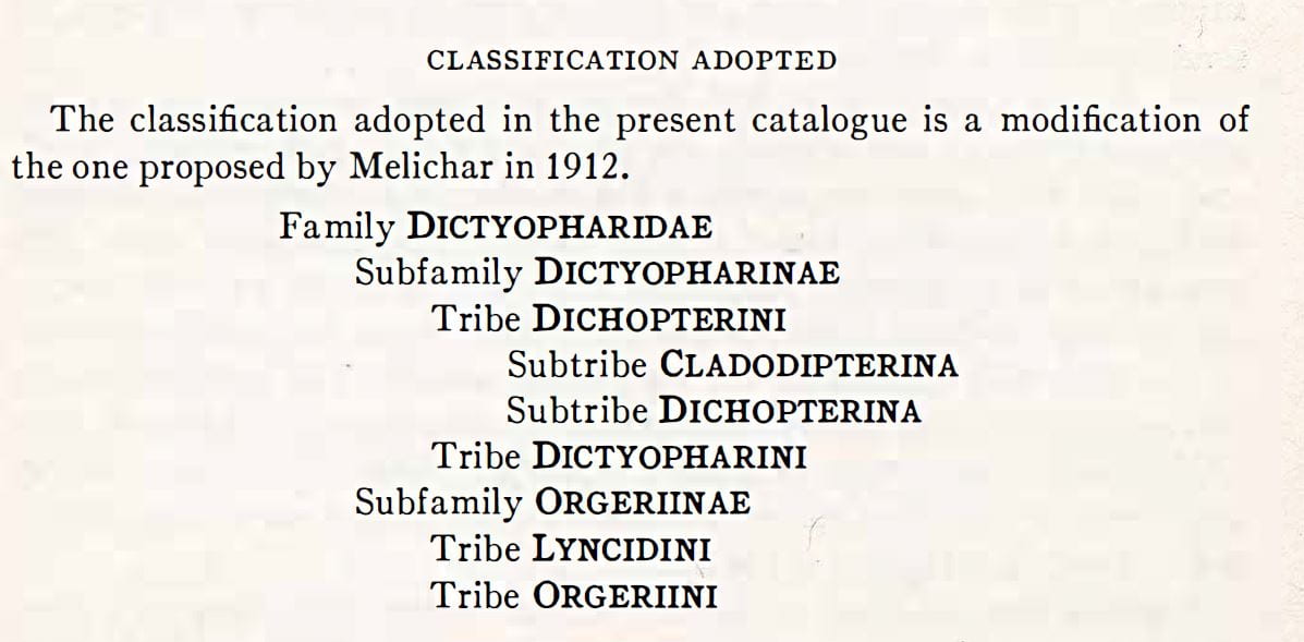 Metcalf catalog classification of Dictyopharidae