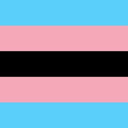 A black trans pride flag with five horizontal stripes from top to bottom blue, pink, black, pink and blue