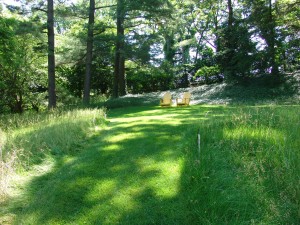 This attractive combination of lawn and meadow at Chanticleer Gardens in Wayne, PA, shows lawn used as a means of circulation and as a gathering space.  