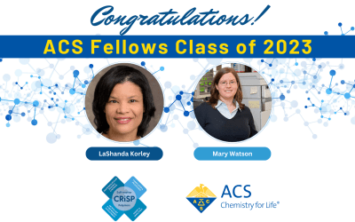 Congratulations!  ACS Fellows Class of 2023