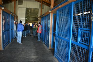 empty stable shown here as we learned about how the horses spend their time grazing 