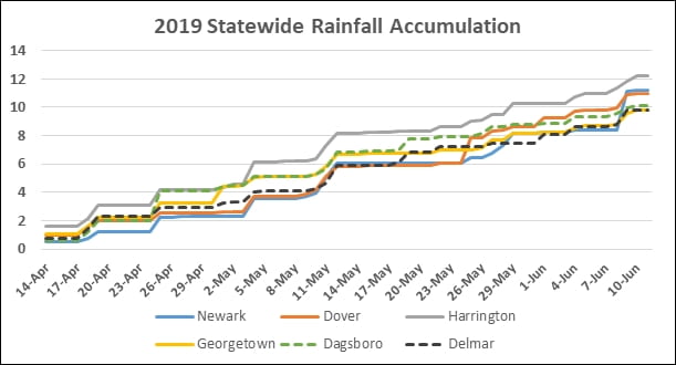 statewide rainfall accumulation