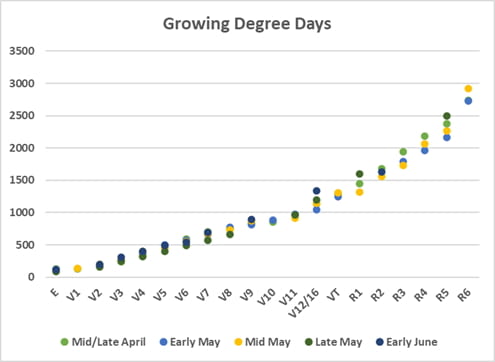 Growing degree days versus corn growth stage for five planting windows