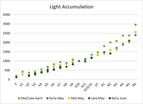 Light accumulation versus corn growth stage for five planting windows