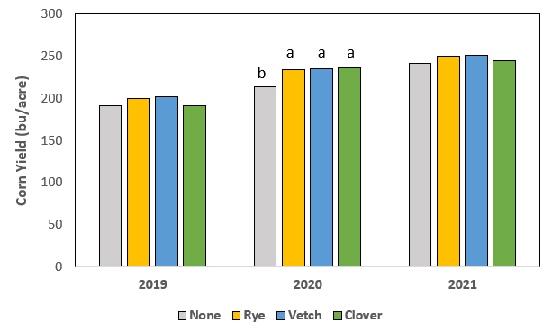 Figure 1. Corn yields in 2019, 2020, and 2021 harvested from plots with different winter cover crops. Bars with the same letter were not statistically different.