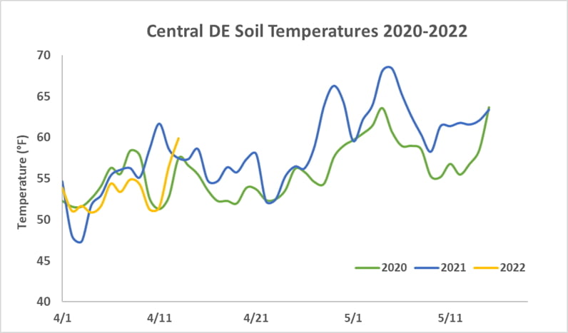 Figure 1. Soil temperatures from mid-April to mid-May 2020-2022 in central DE.