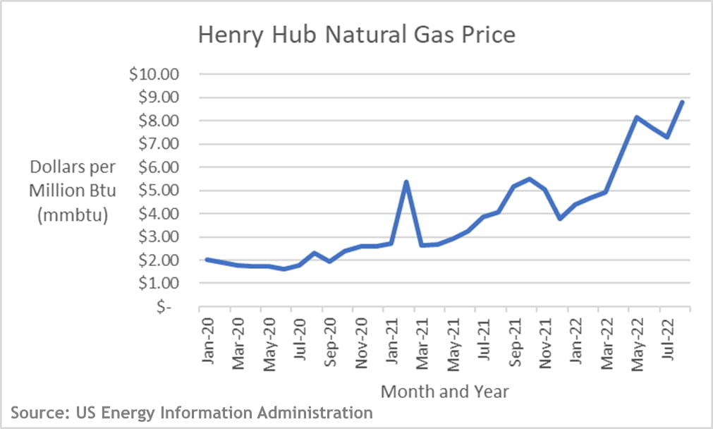 Hentry Hub Natural Gas Prices