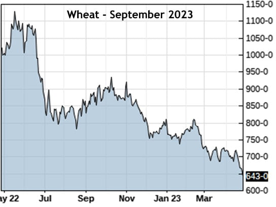 Figure 3: Wheat Futures September 2023