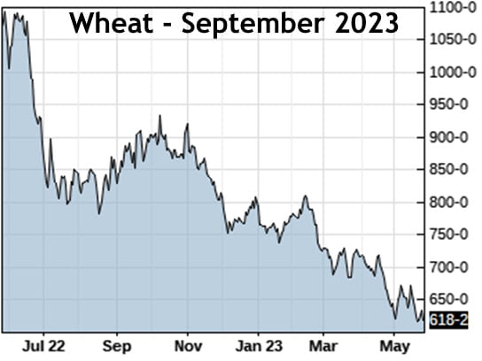 Figure 8: Wheat September Futures