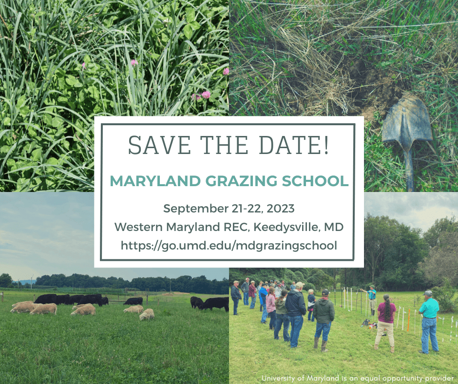 Maryland Grazing School Save the date photo