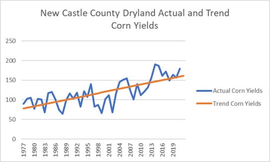 New Castle Co. dryland corn yields