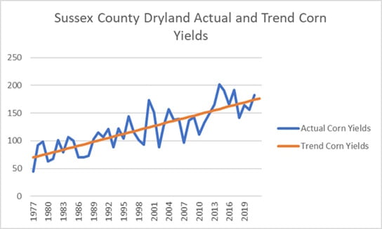 Sussex Co. dryland corn yields