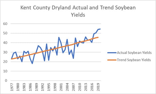 Kent Co. dryland soybean yields