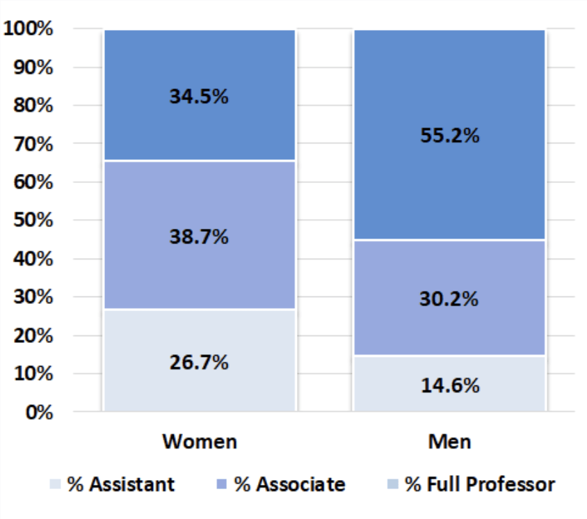 Chart showing the percentage of male and female tenured and tenure track faculty at UD as of 2017